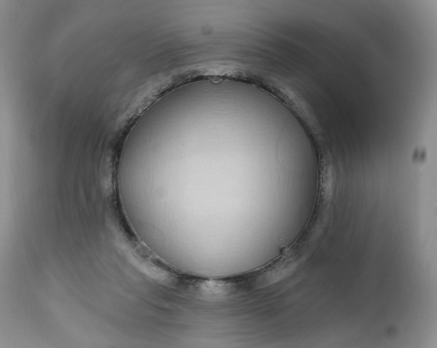 X0000112520261200908311404
