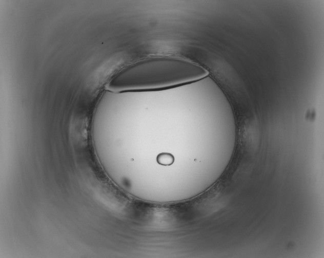 X0000112520264200908311404