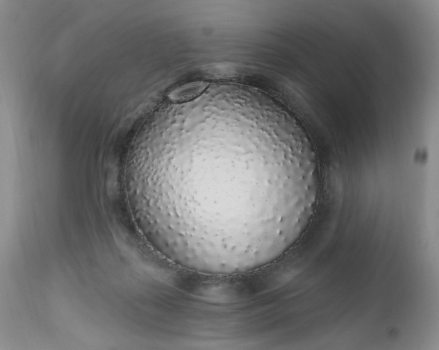 X0000112520267200908311404