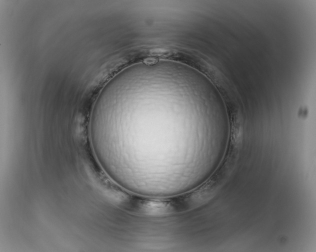X0000112520270200908311404