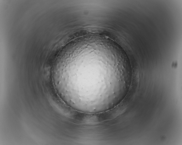 X0000112520271200908311404