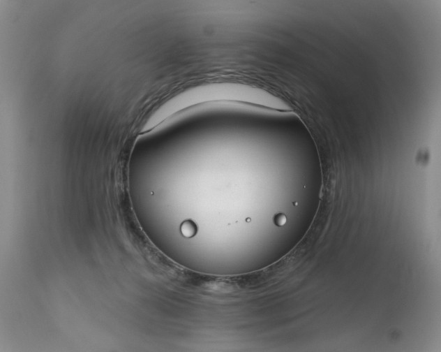 X0000112520272200908311404