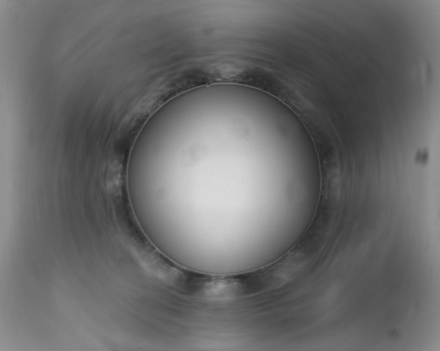 X0000112520274200908311404