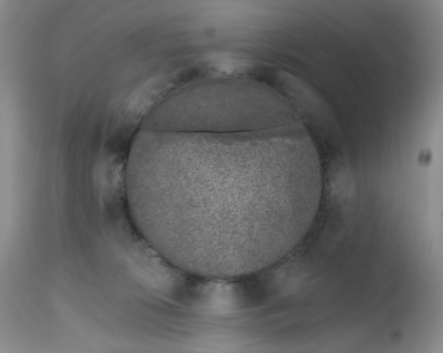 X0000112520276200908311405