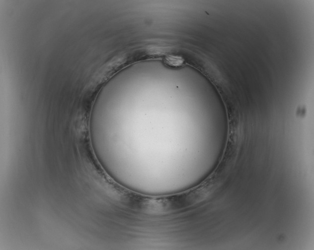 X0000112520277200908311405