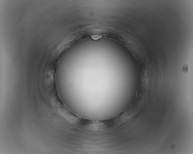 X0000112520278200908311405