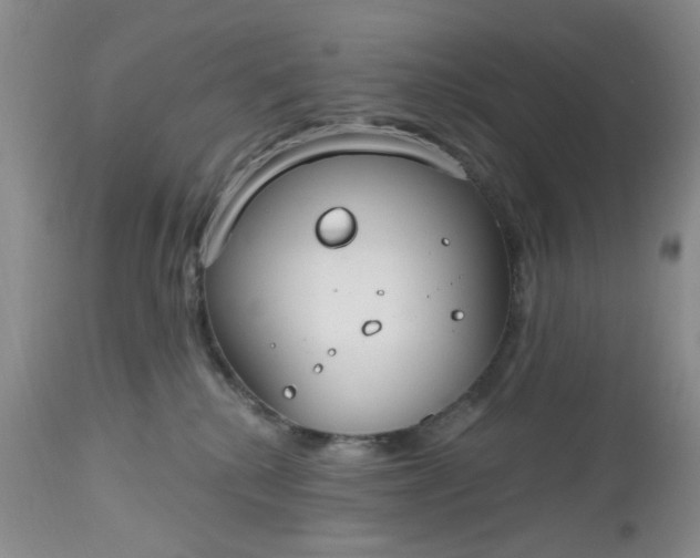 X0000112520280200908311405