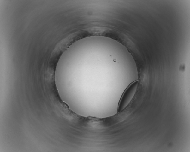X0000112520283200908311405