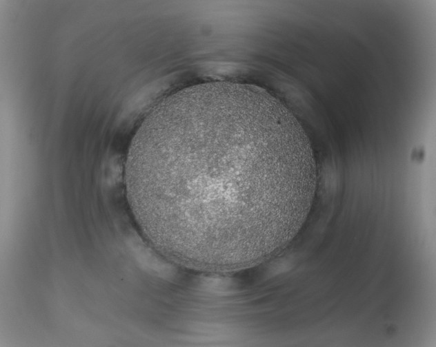X0000112520284200908311405