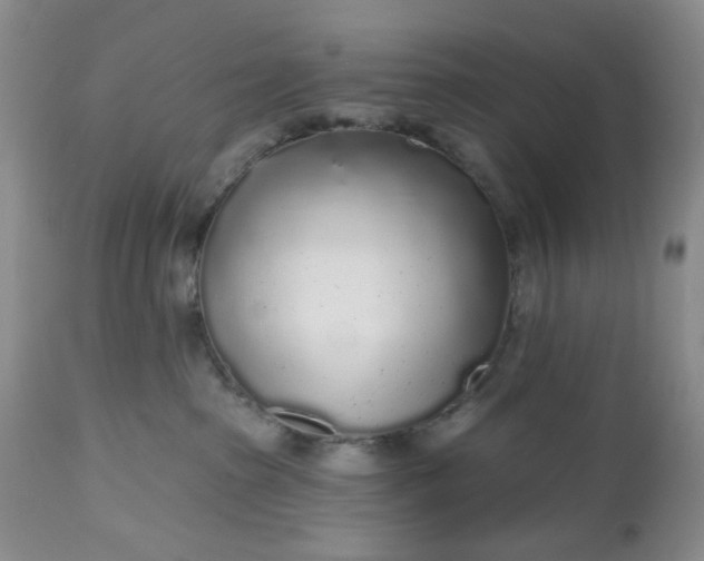 X0000112520285200908311405
