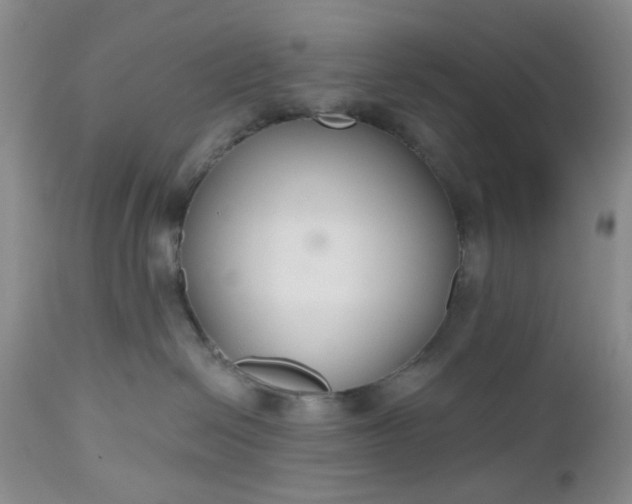 X0000112520286200908311405