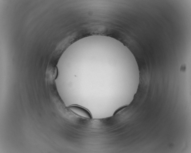 X0000112520287200908311405