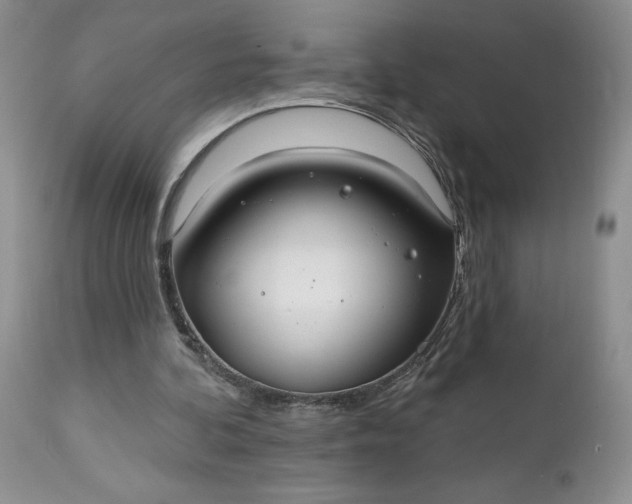 X0000112520292200908311404