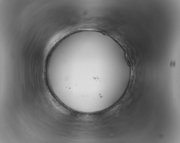 X0000112520293200908311404