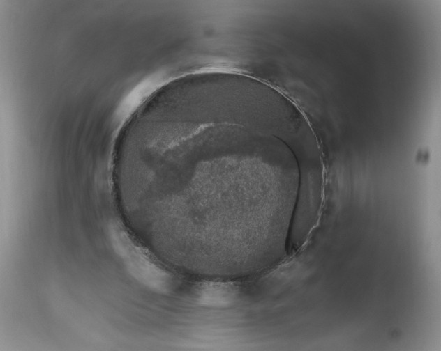 X0000112520296200908311404