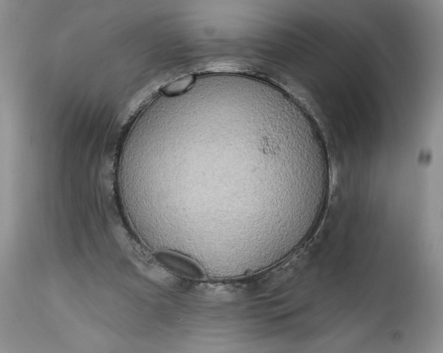X0000112520297200908311404