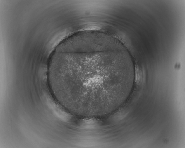 X0000112520300200908311404
