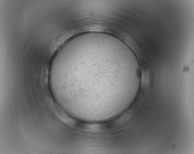 X0000112520301200908311404