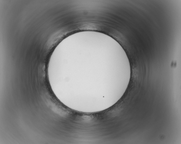 X0000112520302200908311404