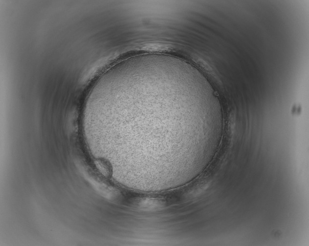 X0000112520303200908311404