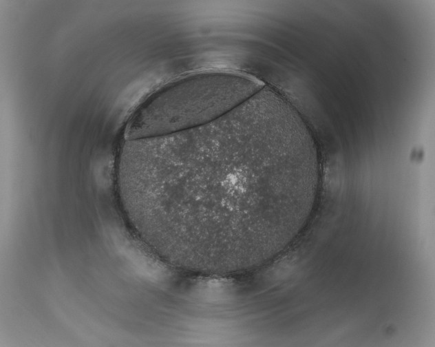 X0000112520304200908311404