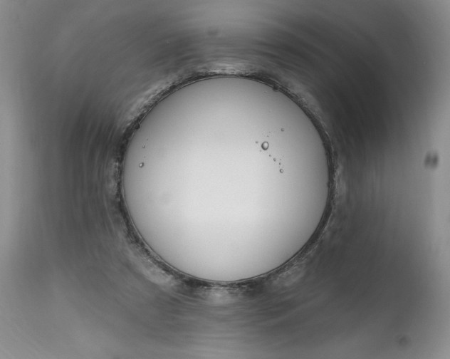 X0000112520305200908311404