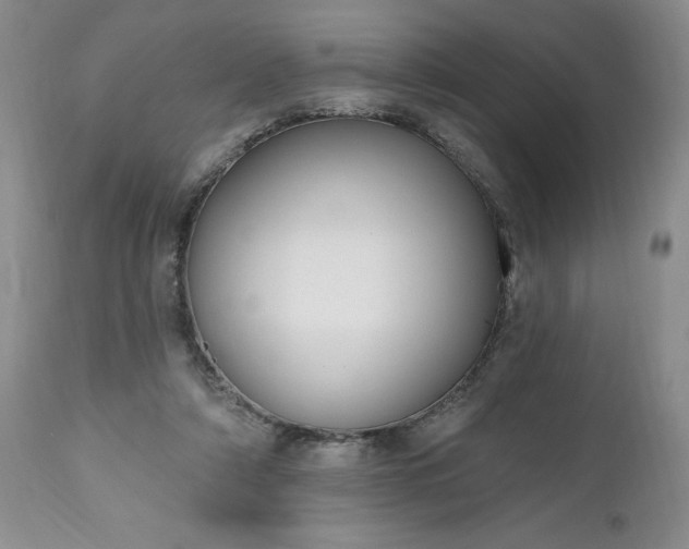 X0000112520306200908311404