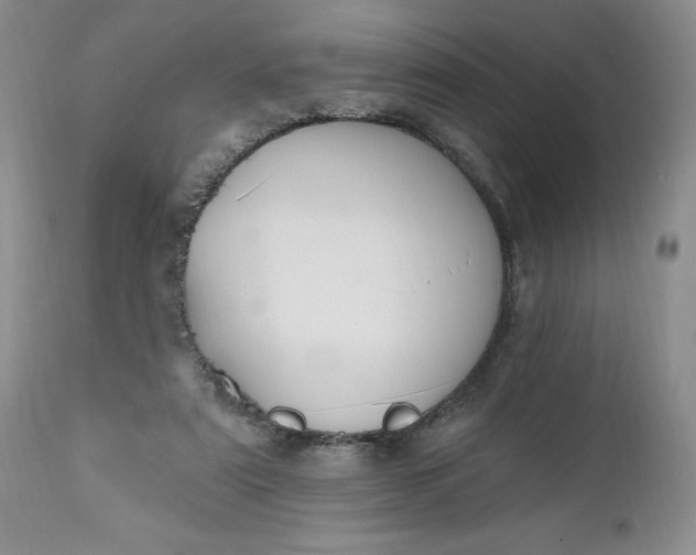 X0000112520307200908311404