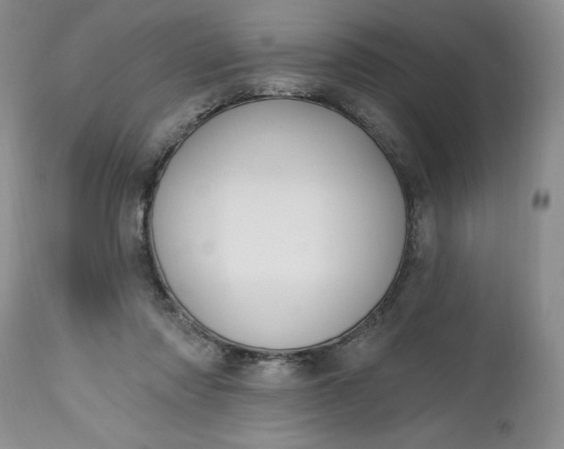 X0000112520310200908311404