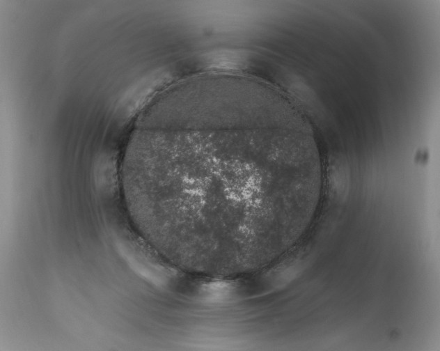 X0000112520312200908311404
