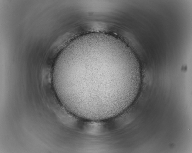 X0000112520313200908311404