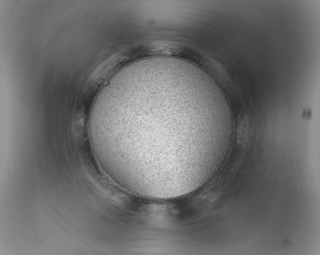 X0000112520314200908311404