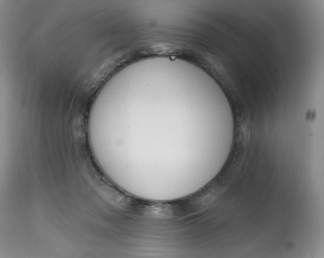 X0000112520317200908311404