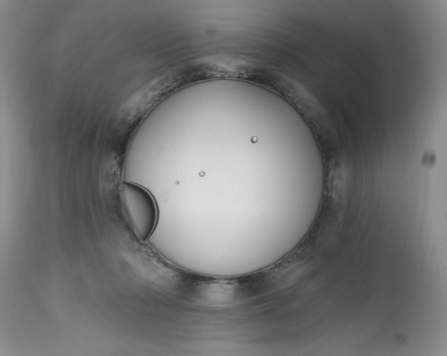 X0000112520318200908311404
