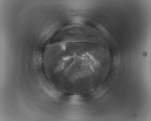 X0000112520320200908311404