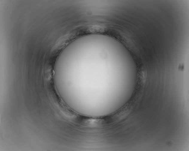 X0000112520323200908311403