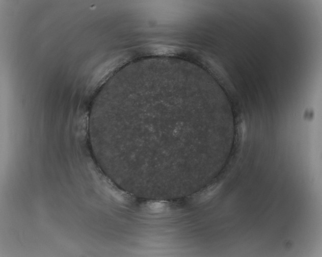 X0000112520325200908311403