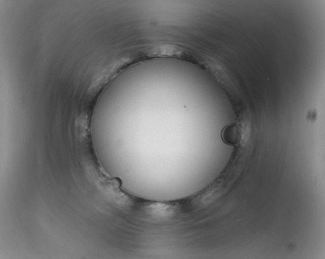 X0000112520326200908311403
