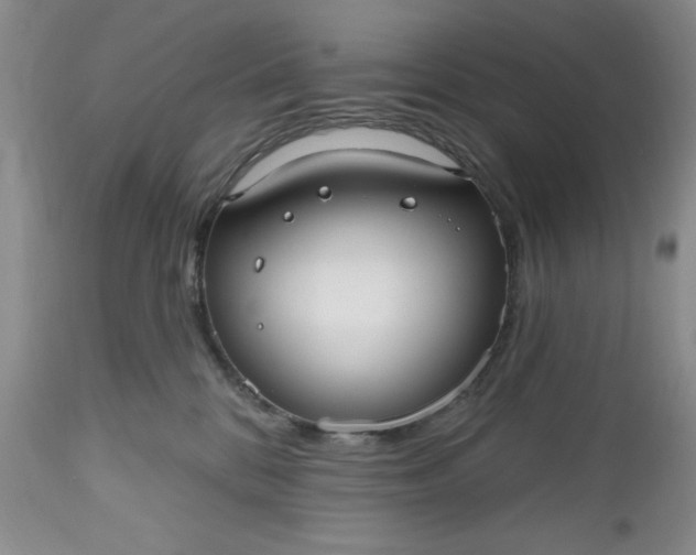X0000112520328200908311403