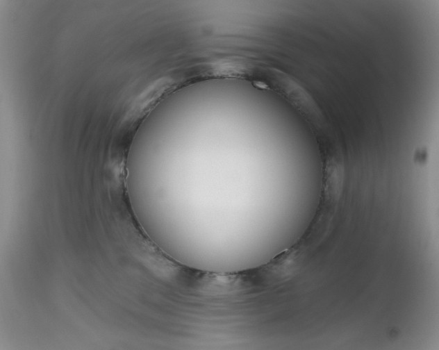 X0000112520329200908311403