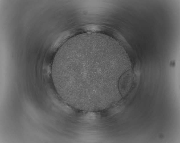 X0000112520330200908311403
