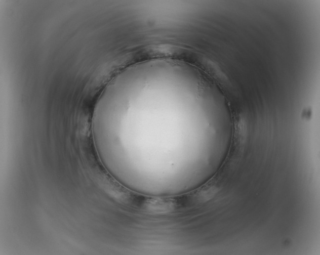X0000112520331200908311403