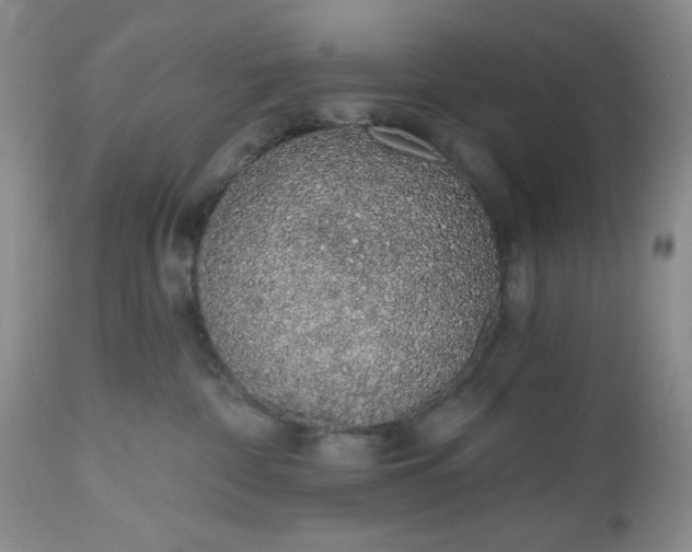 X0000112520332200908311403