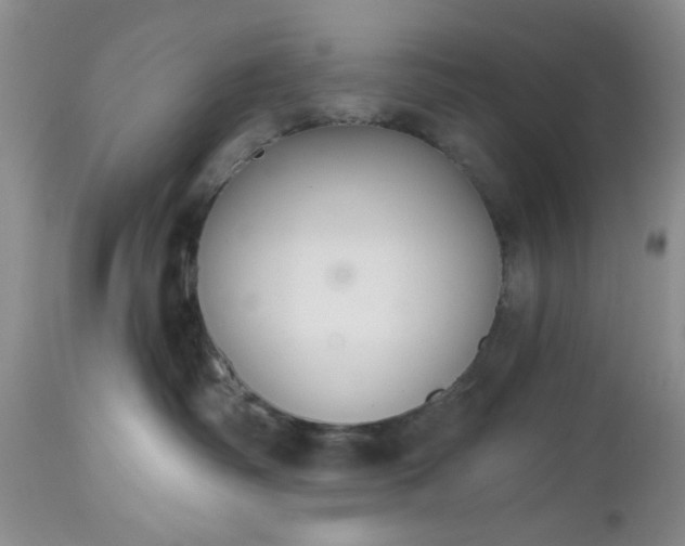 X0000112520334200908311403