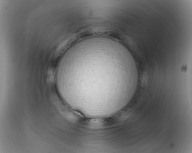 X0000112520335200908311403