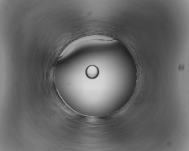 X0000112520336200908311403