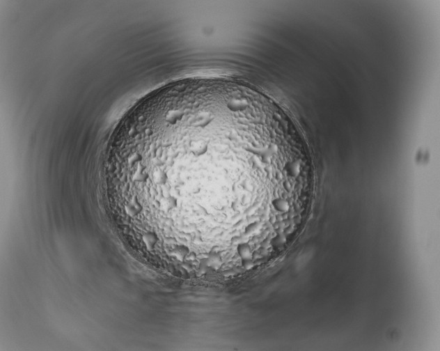 X0000112520337200908311403