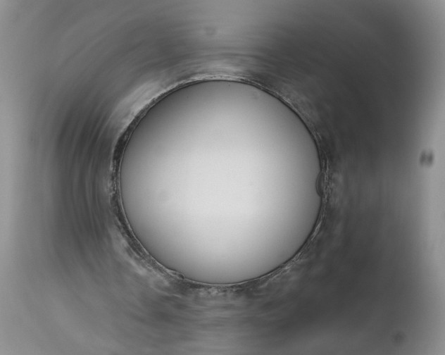 X0000112520338200908311403