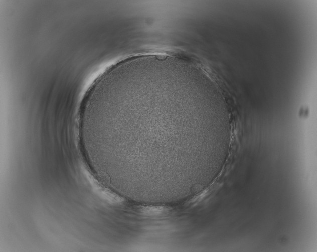 X0000112520342200908311403