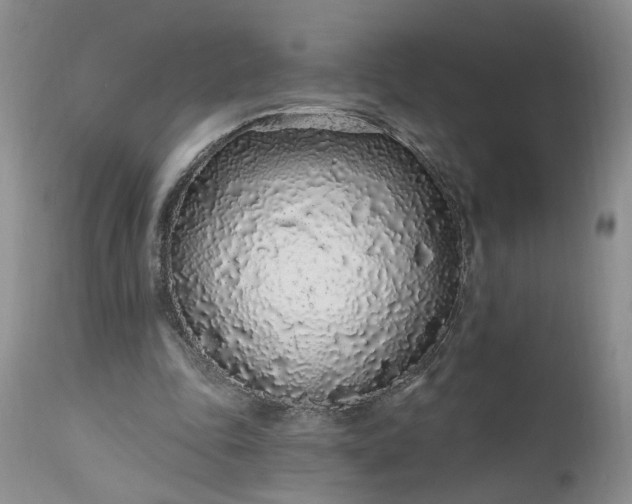 X0000112520343200908311403